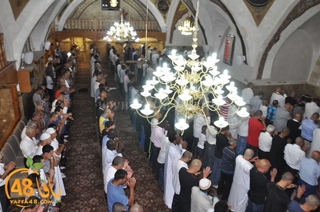 mahmoudiaya 3eda (11).JPG